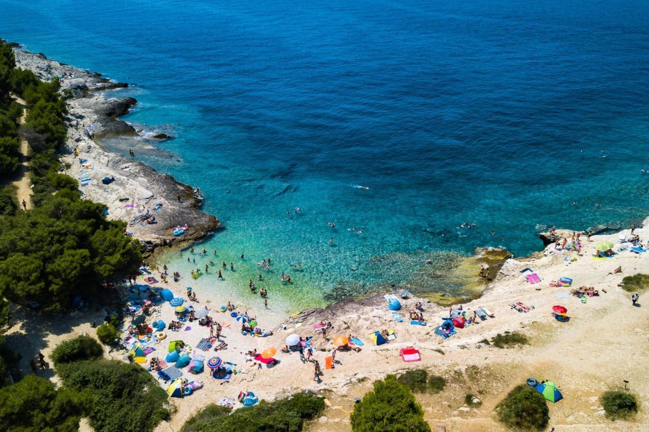 Lovely Istrian Apartment With A Private Swimming Pool And A Charming Garden 班约勒 外观 照片